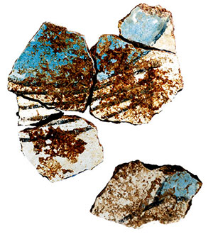 Tel Kabri Minoan Frescoes